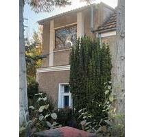 Grundstück mit stark Sanierungsbedürftigen Haus zu Verkaufen - Berlin Marzahn-Hellersdorf