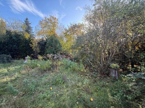 Foto - Einfamilienhaus in Berlin zum Kaufen