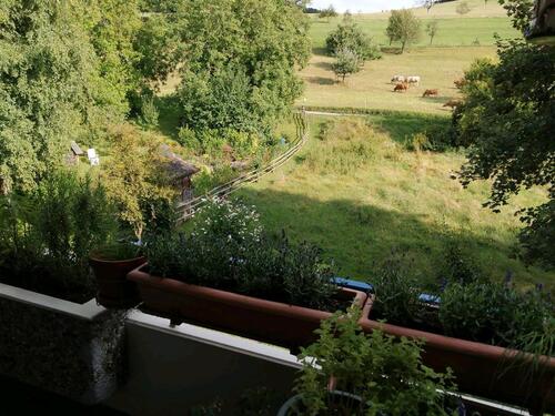 Foto - Etagenwohnung zum Kaufen in Inzlingen