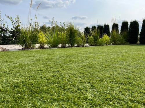 Foto - andere in Delitzsch