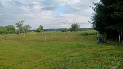 Foto - Bauernhaus, Landhaus in Wittstock/Dosse
