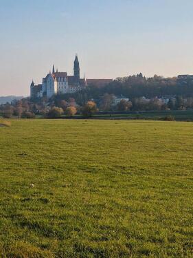 Foto - Pferdewiese, Pferdehaltung, Elbwiese