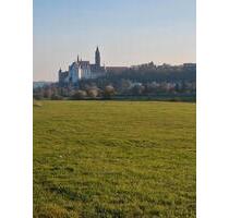 Pferdewiese, Pferdehaltung, Elbwiese - Meißen