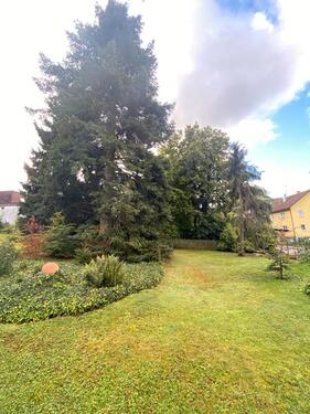Foto - Grundstück zur Miete in Albstadt