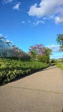 Foto - Möbliertes Appartement mit großem Balkon & traumhafter Aussicht