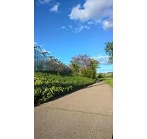 Möbliertes Appartement mit großem Balkon & traumhafter Aussicht - Kernen im Remstal