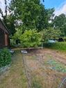 Foto - Einfamilienhaus in Werder (Havel) zum Kaufen