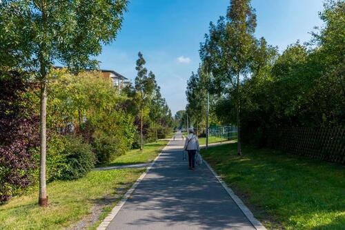 Foto - Etagenwohnung in Nordhausen zur Miete