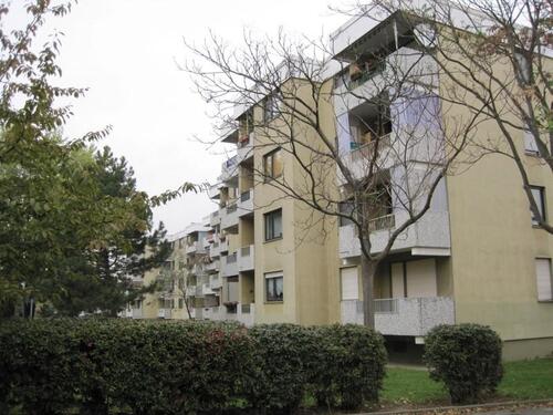 Foto - Hier wird für Sie modernisiert - 526,00&nbsp;EUR Kaltmiete, ca.&nbsp; 42,39&nbsp;m&sup2;