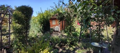 Foto - Kleingarten in Dresden Löbtau Friedrichstadt Nr. 35