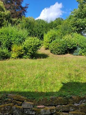 Foto - Einfamilienhaus in Bad Hersfeld zur Miete
