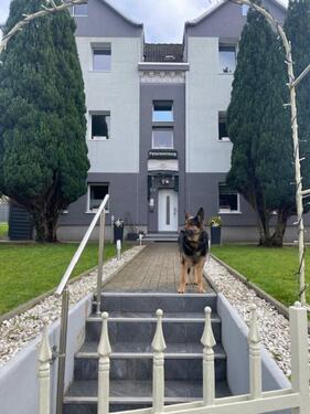 Foto - Möbilierte Wohnungen - 1.900,00 EUR Kaltmiete,