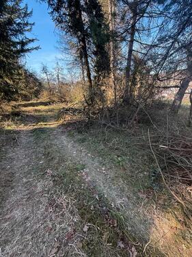 Foto - Jägerhaus mit Grundstück zu vermieten Albstadt 6000qm