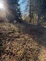 Foto - andere zur Miete in Haigerloch