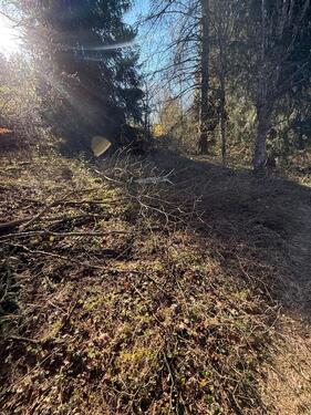 Foto - andere zur Miete in Haigerloch