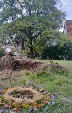Foto - andere zur Miete in Göttingen