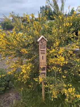 Foto - Grundstück zur Miete in Hartmannsdorf
