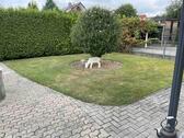 Foto - 5 Zimmerwhg. mit Terrasse & Garten in Bad Salzuflen zu verkaufen