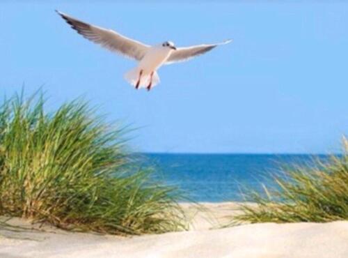 Foto - EXKLUSIVES und modernes Wohnen zwischen der Nord&Ostsee.