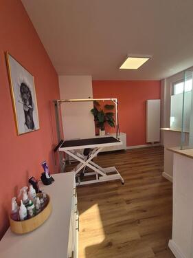 Foto - andere in Braunschweig