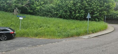 Foto - Grundst&uuml;ck zum Kaufen in Dresden