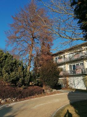 Foto - Tolle ruhige 1,5 Zimmer Wohnung in Bingen (Landkreis Sigmaringen)