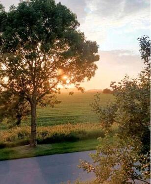 Foto - 3.5 Zimmer Erdgeschoßwohnung zur Miete in Büsum