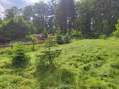 Foto - Einfamilienhaus in Suhl