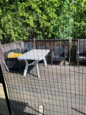 Foto - Mehrfamilienhaus Kapitalanlage Engelskirschen Zentrum