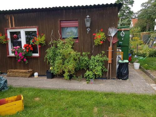Foto - Kleingarten auf Marli - 1.000,00 EUR Kaltmiete, ca.  0,00 m²