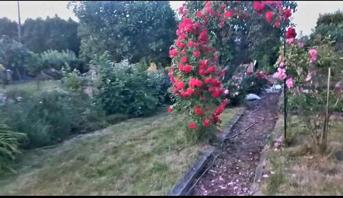 Foto - Kleingarten 270qm - 700,00 EUR Kaltmiete, ca.  0,00 m²