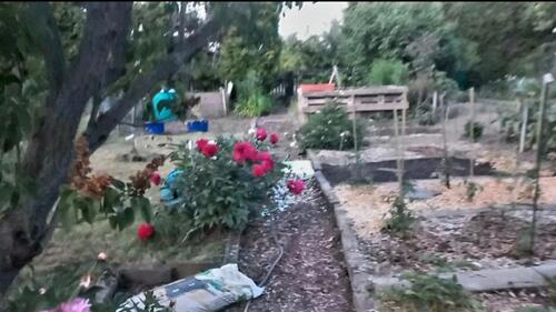 Foto - Grundstück in Heidenau