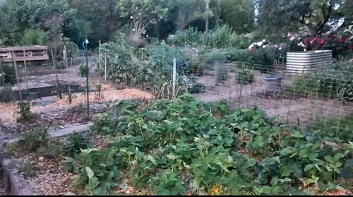 Foto - Grundstück in Heidenau zur Miete
