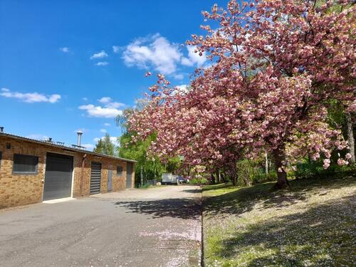 Foto - Lagerhalle mit Büro am Ortsrand
