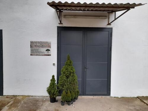 Foto - andere in Schlangenbad