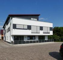 AUMÜLLER-Immobilien - Moderne energiesparsame 4-Zi-EG-Wohnung mit überdachtem Balkon und Carport - Schlüchtern AUMÜLLER-Immobilien - Moderne energiesparsame 4-Zi-EG-Wohnung mit überdachtem Balkon und Carport - Schlüchtern