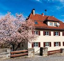 Großzügige 3-Zimmer-Wohnung mit traumhaftem Ausblick - Fürstenstein