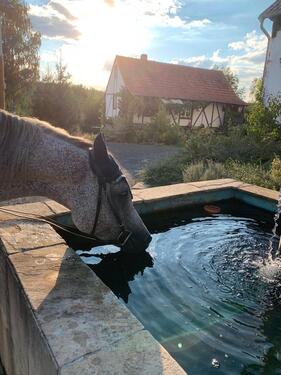 Foto - Einfamilienhaus in Itzgrund zum Kaufen