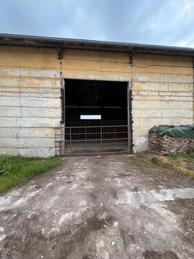Foto - andere in Freyburg (Unstrut)