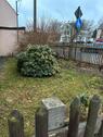 Foto - 5 Zimmer Einfamilienhaus in Weischlitz