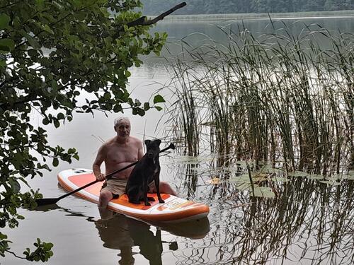 Foto - priv. Bauernhof mit 6 tollen FewoHaus am See, privater Seezugang