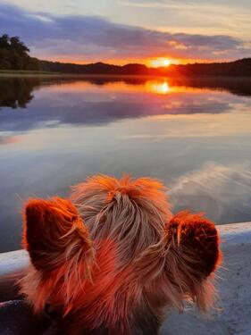 Foto - andere in Blankensee zur Miete
