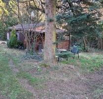 Wochenendhaus Freizeitgrundstück - Bad Dürkheim