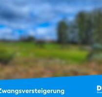 Langfristige Vermögenssicherung – Erwerb von landwirtschaftlichem Grundbesitz bei Gera - Kraftsdorf