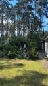 Foto - 5 Zimmer Einfamilienhaus in Ebstorf