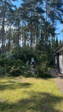Foto - 5 Zimmer Einfamilienhaus in Ebstorf