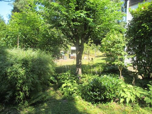 Foto - Bungalow in Seevetal zum Kaufen