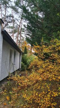 Foto - Einfamilienhaus in Gräfenhainichen