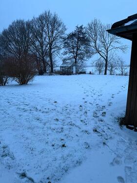 Foto - Einfamilienhaus in Kollmar zum Kaufen