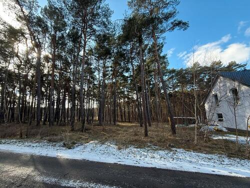 Foto - Naturbelassenes Baugrundstück in Seenähe